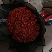 گل‌های قرمز