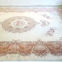 فرش ۵۰۰ شانه|فرش|کرمانشاه, |دیوار