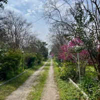 ۳۰۰۰ متر ویلای جاده به دریا (عالی برای مصرف)