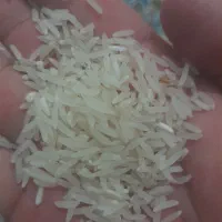 برنج فجر اعلا