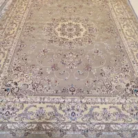 فرش ۱۲متری|فرش|زنجان, |دیوار