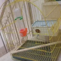قفس پرنده