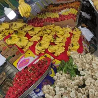 بارچین حرفه ای میوه
