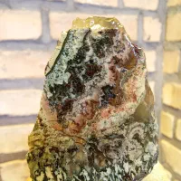 شجر دریایی خاص