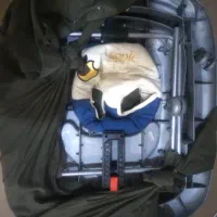 کالسکه و رورورک