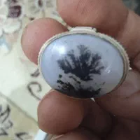 انگشتر یمن شجر فیروزه|جواهرات|میبد, |دیوار