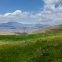 گندم دیم درجه یک یک|عمدهفروشی|خاروانا, |دیوار