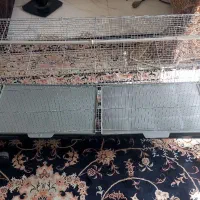 قفس پرون،قفس پژاوند 1033 قفس خورشیدی پایه قفس لانه|لوازم جانبی حیوانات|اندیشه, اندیشه فاز ۱|دیوار