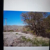 فروش زمین زراعی ۲۷۵۷ متری بصورت شرایطی