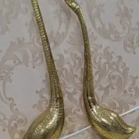 قوی عاشق ارتفاع55سانت