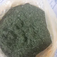 شوید خشک