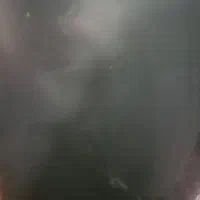 معاوزه پرلید با وانت