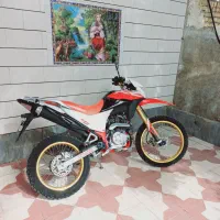 تریل برمودا ۲۵۰|موتورسیکلت|شیراز, گل سرخ|دیوار