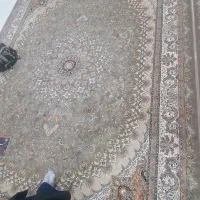 فروش فوری فرش ۱۲ متری|فرش|مشهد, امیریه|دیوار