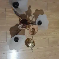 دوعدد لوستر