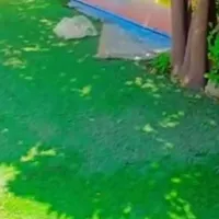 مربی پیش دبستان در مهدکودک