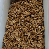 کارگر خانم جهت بسته بندی گردو