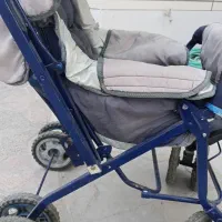 کالسکه|کالسکه و لوازم جانبی|اصفهان, عطار نیشابوری|دیوار