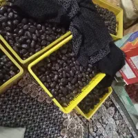 اجاره باغ ۴ساله|اجارهٔ دفتر صنعتی، کشاورزی، تجاری|نگین کویر, |دیوار