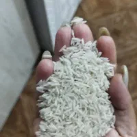 برنج ایرانی عنبربو|خوردنی و آشامیدنی|بندر ماهشهر, |دیوار