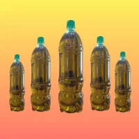 روغن زیتون خالص و تضمینی