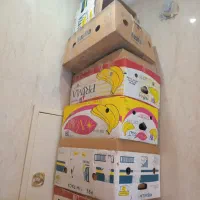 کارتن موزی واسه اسباب کشی