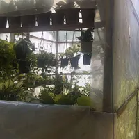 اجاره گلخانه به متراژ۱۸مترمربع میباشد