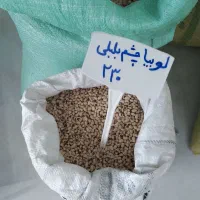 فروش حبوبات وتخمه