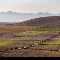 زمین-برای-سرمایه-گذاری