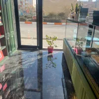 همکار خانوم