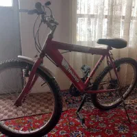 دوچرخه 24 دنده ای