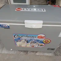 فریزرصندوقی