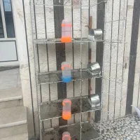 قفس ۴طبقه جفتگاه