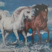 تابلو پازل۲۰۰۰تکه