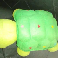 عروسک لاک پشت.|اسباب‌بازی بچه|قدس, شهر‌قدس|دیوار