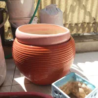سلفون عرض ۵۰ سانت پلاستیک در لباسشویی وگل طبیعی|ظروف نگهدارنده، پلاستیکی، یک‌بارمصرف|تهران, خرمشهر|دیوار