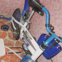 دو عدد دوچرخه ۱۲