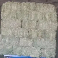 بیده یونجه|لوازم جانبی حیوانات|فیروزه, |دیوار