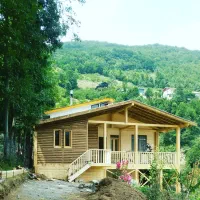 ساخت ساختمانهای چوبی زگالی مدرن|خدمات پیشه و مهارت|تهران, نصرت|دیوار