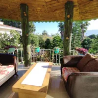 مبل|مبلمان خانگی و میز عسلی|رامسر, |دیوار