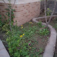 زمین-درحاجی-آباد-خلیج-فارس