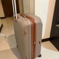 چمدان|کیف، کفش، کمربند|بوشهر, |دیوار