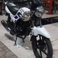 موتور DY150 برمودا|موتورسیکلت|شیراز, شهرک ترکان|دیوار