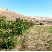 زمین سندار فنس شده استثنائی کم نظیر مربعی