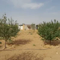فروش باغ ۶۰۰متری چهاردیواری  درختان میوه|فروش خانه و ویلا|اراک, |دیوار