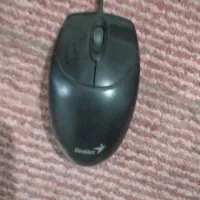 کیبورد و موس|قطعات و لوازم جانبی رایانه|کرج, شاهینویلا|دیوار