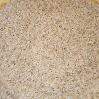 برنچ عنبربو درجه1|عمدهفروشی|کرخه, |دیوار