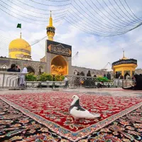 زیارت نیابتی امام رضا ع