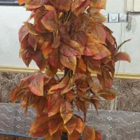 درختچه مصنوعی