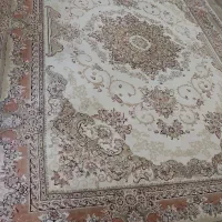 فرش|فرش|خمام, |دیوار